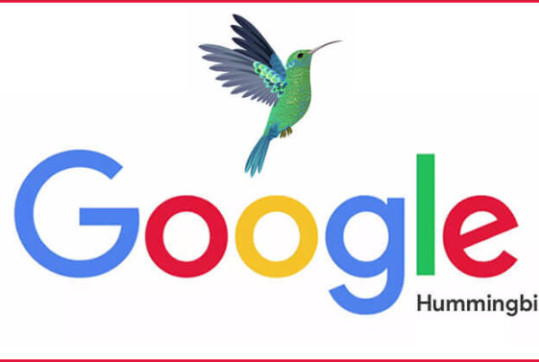 Hummingbird Most Used Word After Not Provided Data In Search Market